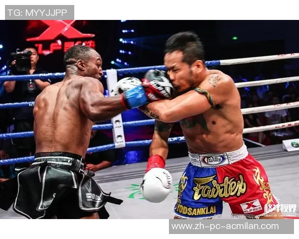 张开印与雅桑克莱巅峰对决谁将成为搏击界的新王者